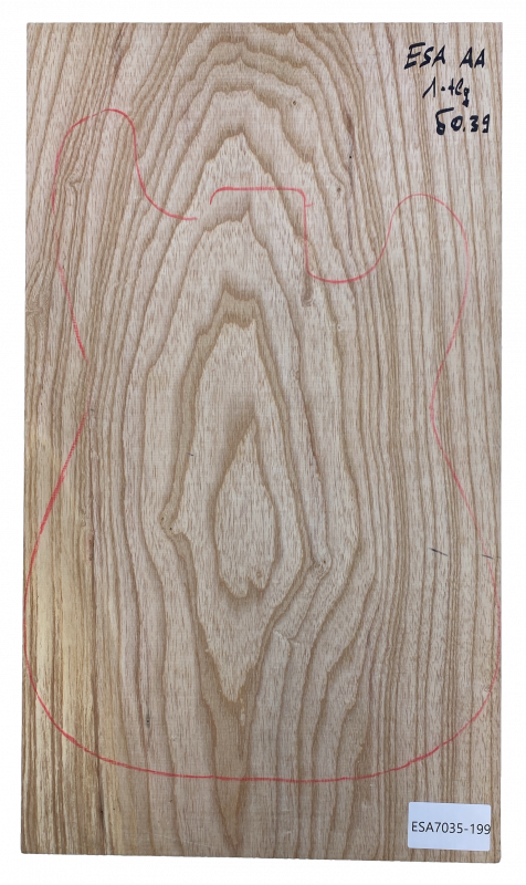 Body Sumpfesche, 1-tlg., für Bass Einzelstück #199